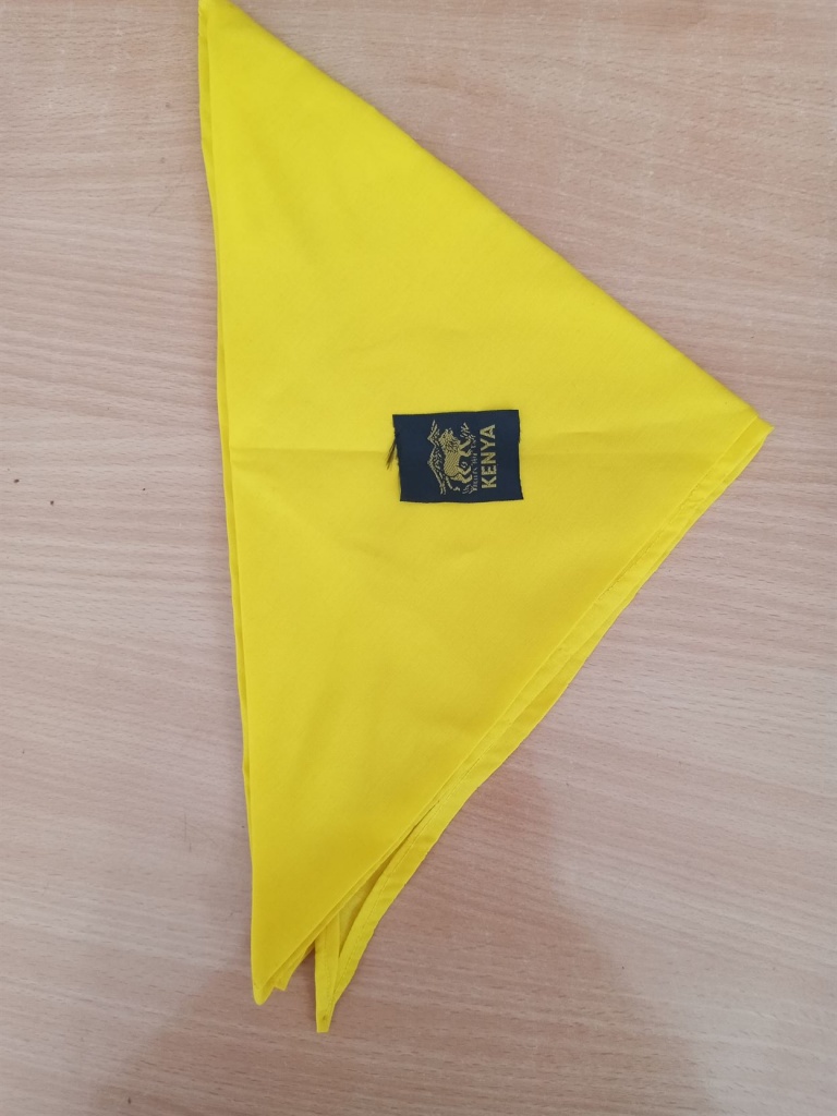 Brownie SCARF Kenya Girl Guides Association
